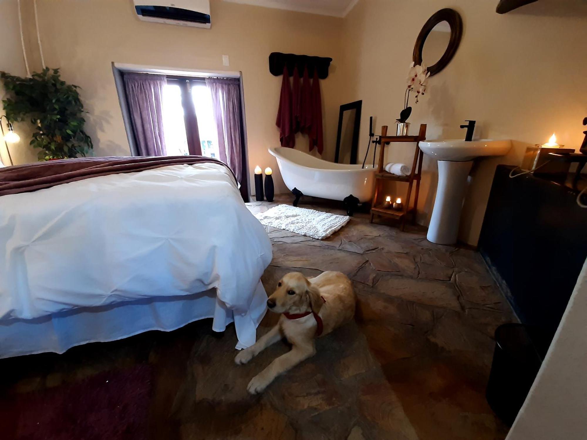 Rosenhof Manor House - Since 1847 Apartman Clanwilliam Kültér fotó